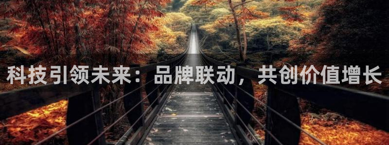金年会平台官网下载