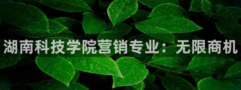 金年会app下载官网登录入口