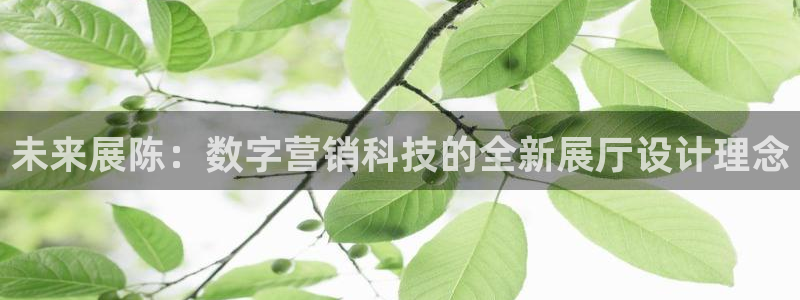 金年会官方入口2023