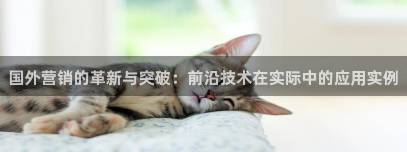 金年会官方在线入口网址