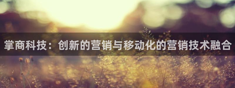 金年会下载安卓