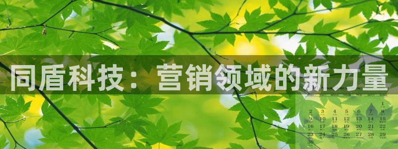 jinnianhui金年会