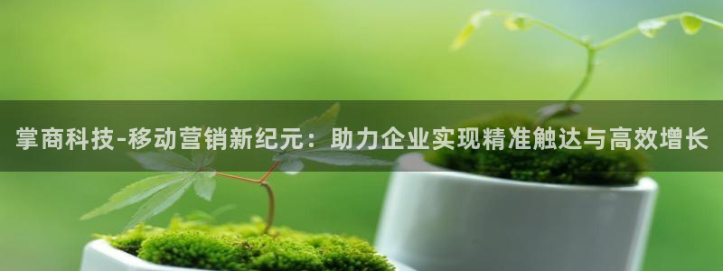 金年会登录网址是什么