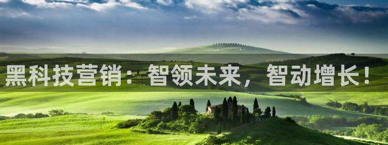金年会官方体育频道直播