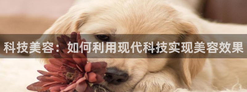 金年会VIP