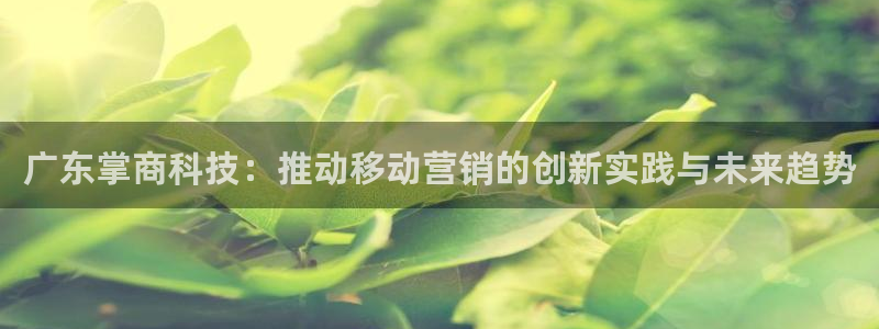 金年会官方网站入口登录