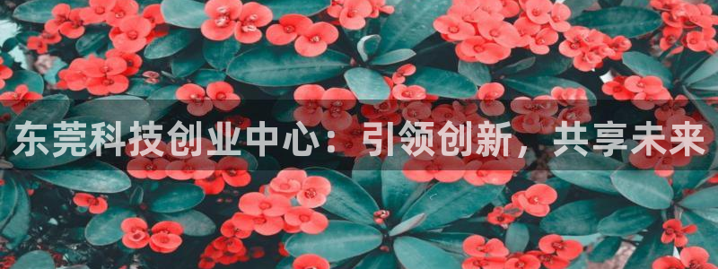 金年会体育官网app