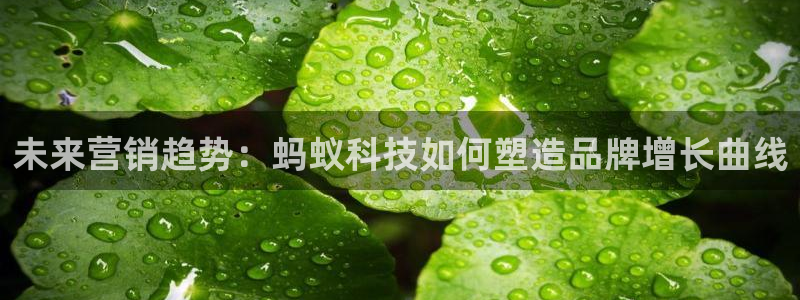 金年会app官方网站入口