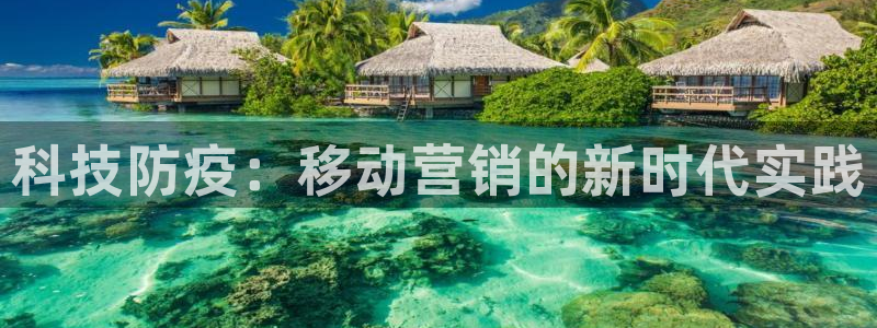 金年会官方在线入口网站2023