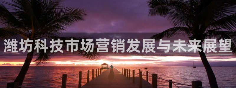 金年会pg电子官网