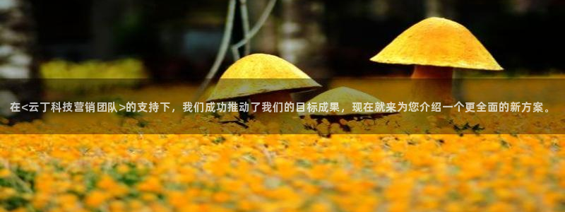 金年会体育app官网入口下载