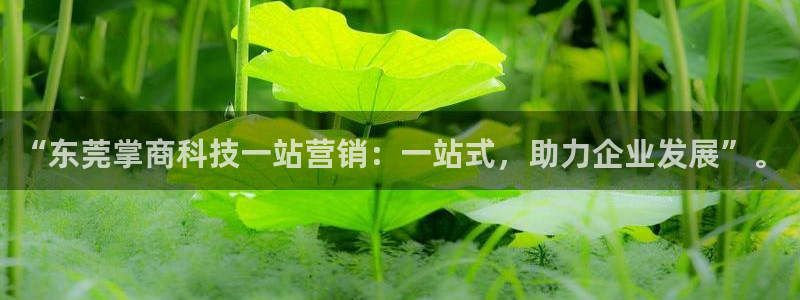 金年会官方在线登录网址是什么意思