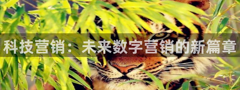 金年会金字招牌网址：
