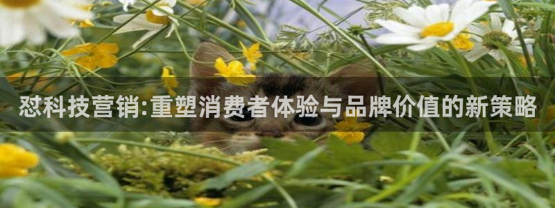 金年会平台是黑网