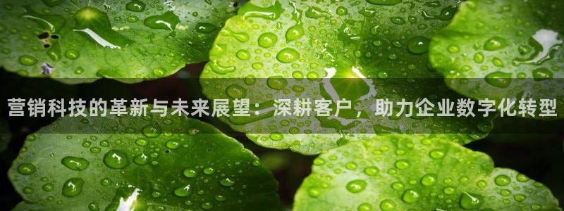 金年会网页版登陆入口