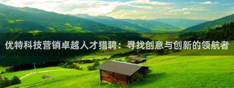 金年会体育信誉怎么样