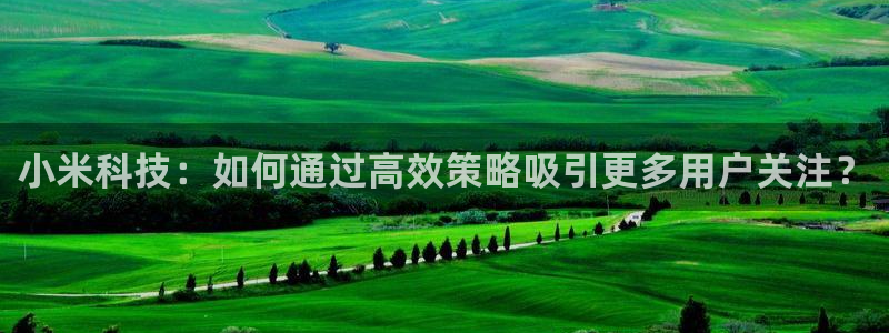 金年会黑平台不给出款