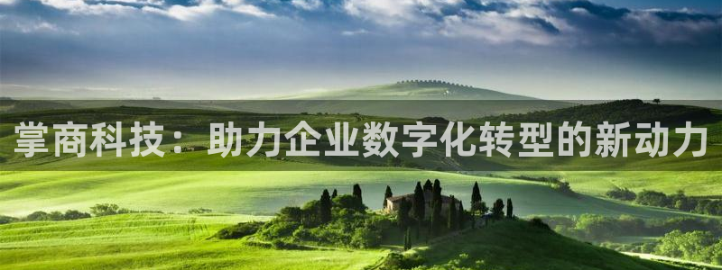 金年会网站拒绝出款怎么办理