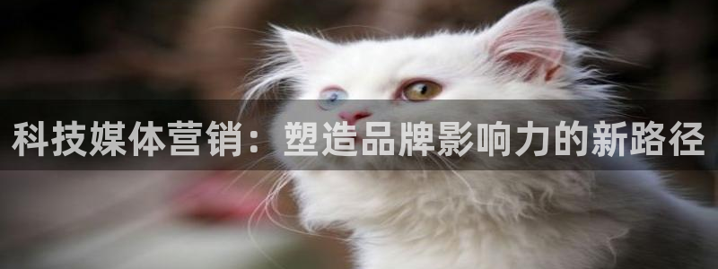 金年会下载哪个买球赛