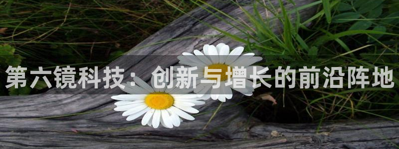 金年会在线入口登陆