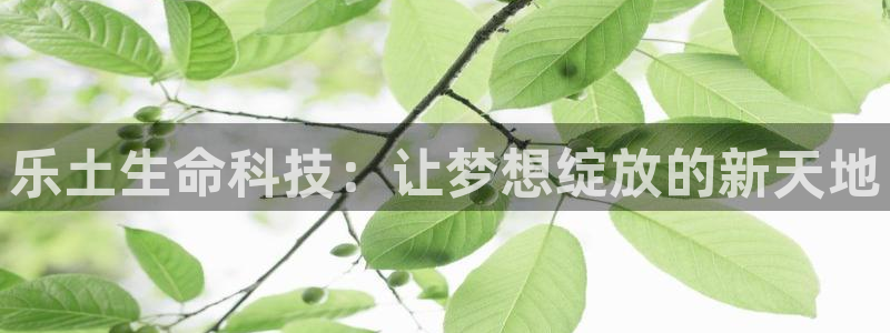 金年会体育app平台怎么样可靠吗