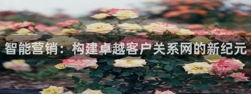 金年会app官网下载