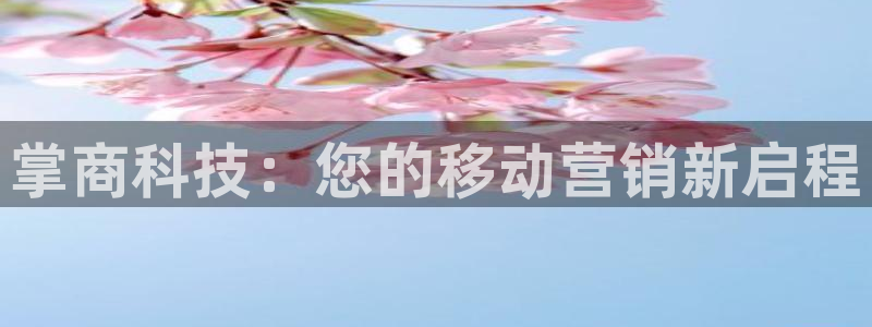 金年会网站事件后果