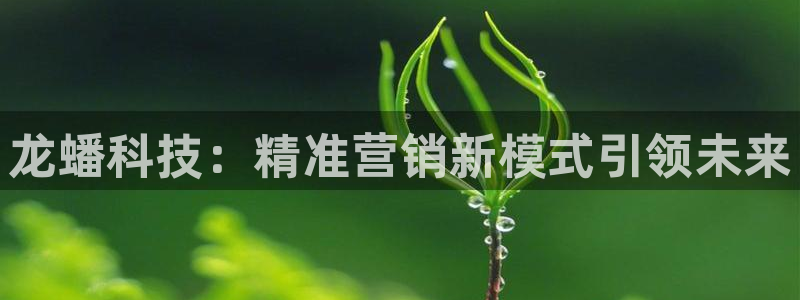 金年会体育app入口在哪