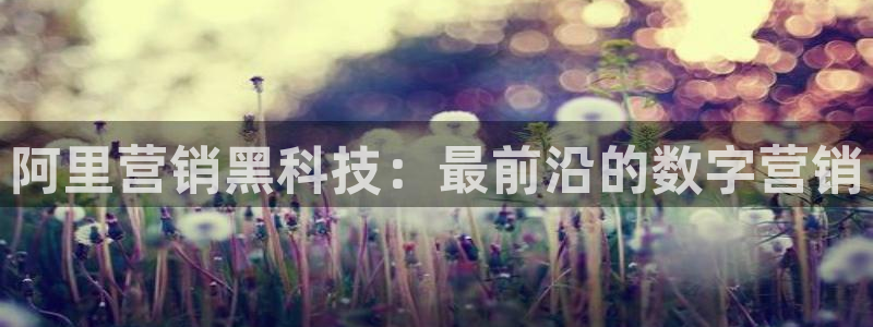 金年会体育app下载安装