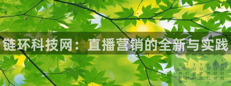 金年会网登录平台入口