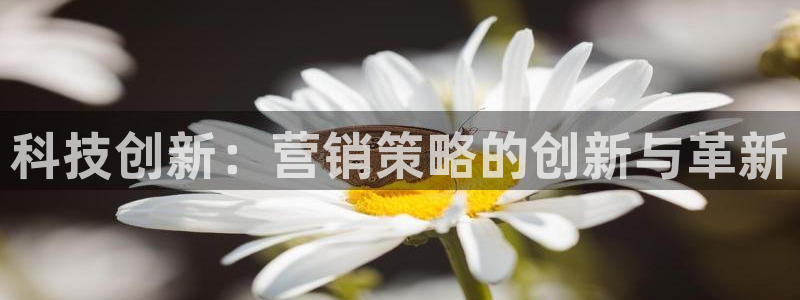金年会体育app平台怎么样