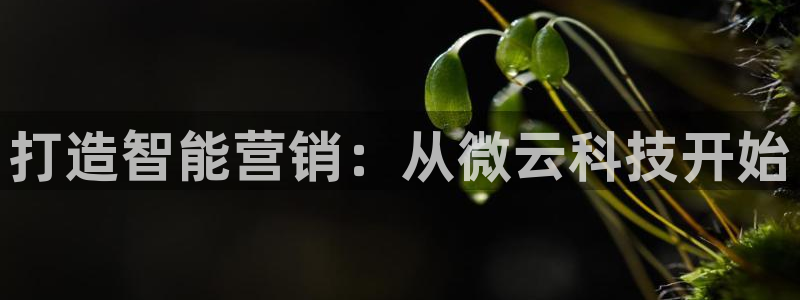 金年会体育官网登录入口下载