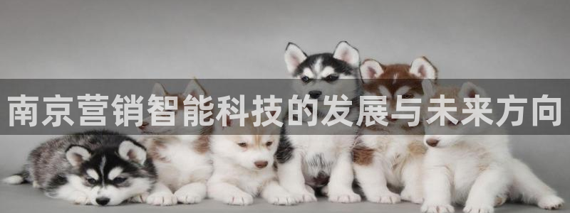 金年会官方登录入口手机版app