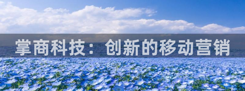 金年会体育网址登录