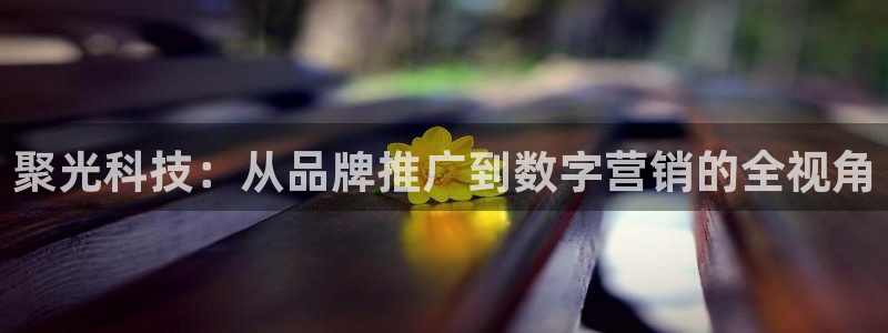 金年会登录网址是什么