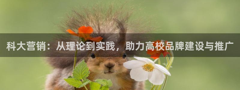 金年会app下载官网登录不了