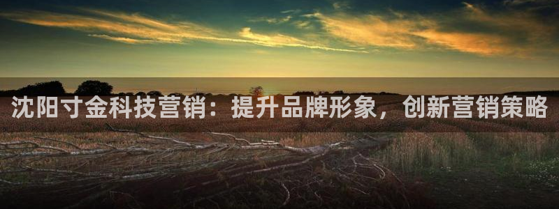 金年会官方在线登录网址是什么