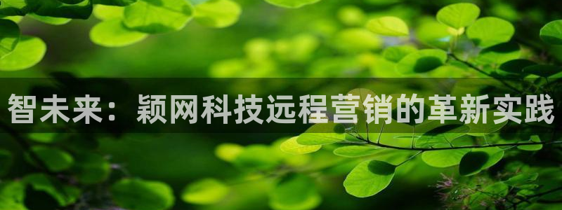 金年会官方登录入口网址是什么
