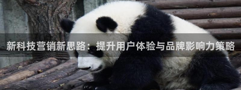 金年会金字招牌下载