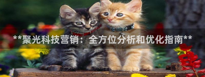 金年会平台官网