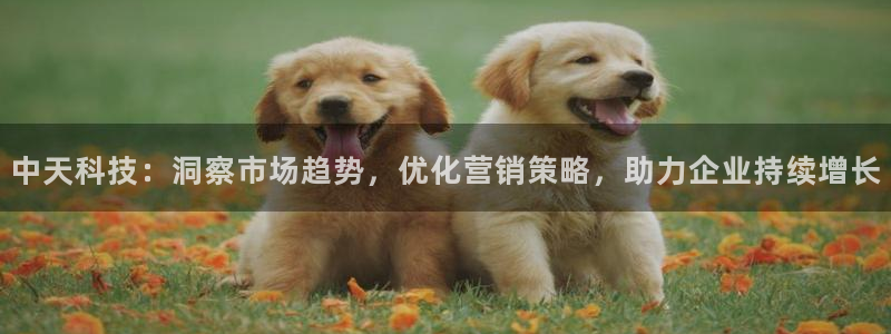 金年会 金字招牌诚信至上