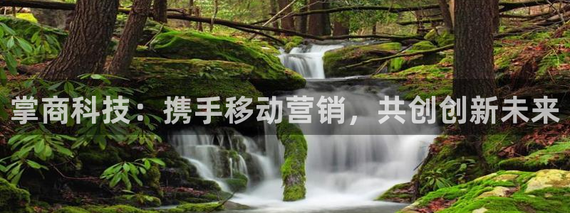 金年会网站平台怎么样