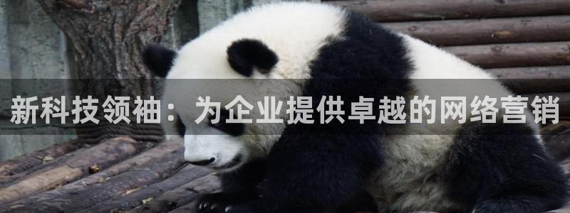 金年会 金字招牌诚信至上欢迎您