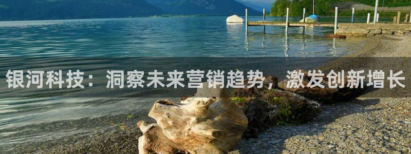 金年会电子游戏怎么玩