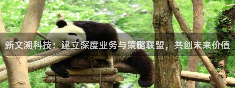 金年会平台是黑网还是白网