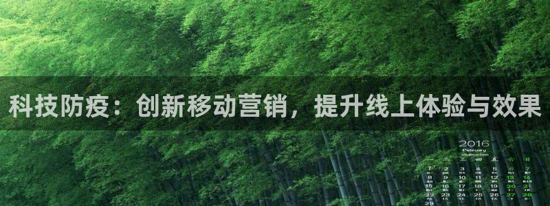 金年会平台真他妈坑人